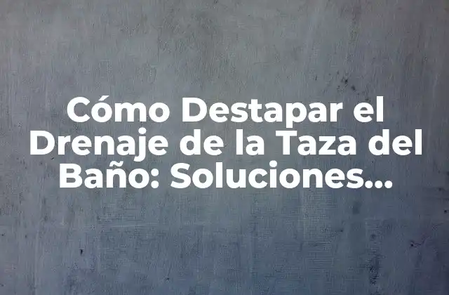 Cómo Destapar el Drenaje de la Taza Del Baño: Soluciones Efectivas