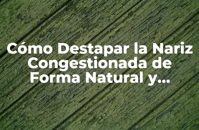 Cómo Destapar la Nariz Congestionada de Forma Natural y Efectiva