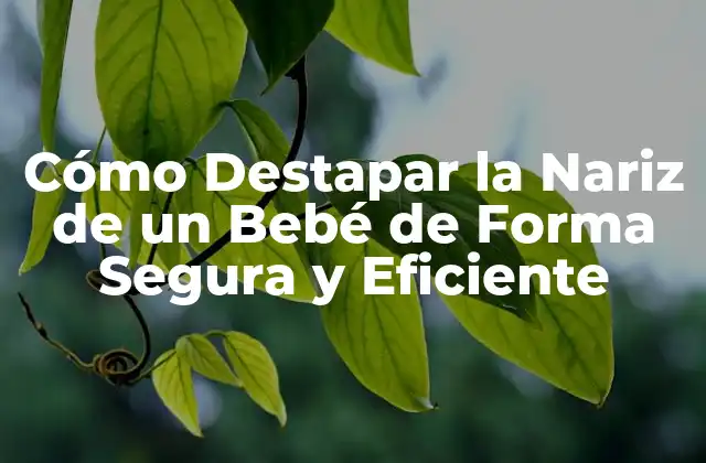 ¿Por qué es Importante Destapar la Nariz de un Bebé?