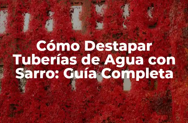 Cómo Destapar Tuberías de Agua con Sarro: Guía Completa