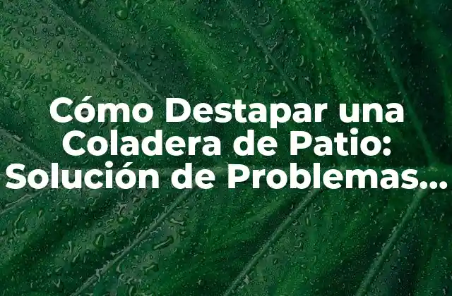 Cómo Destapar una Coladera de Patio: Solución de Problemas y Mantenimiento