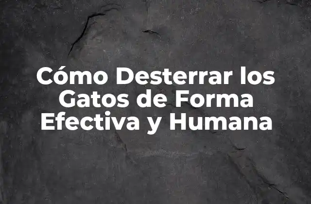Cómo Desterrar los Gatos de Forma Efectiva y Humana