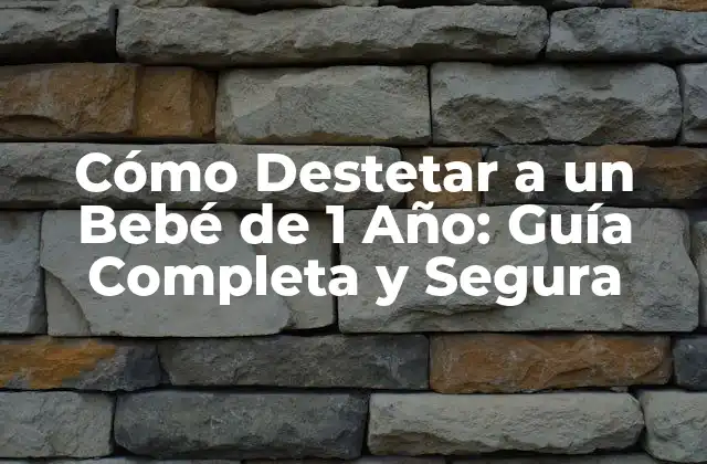 Cómo Destetar a un Bebé de 1 Año: Guía Completa y Segura