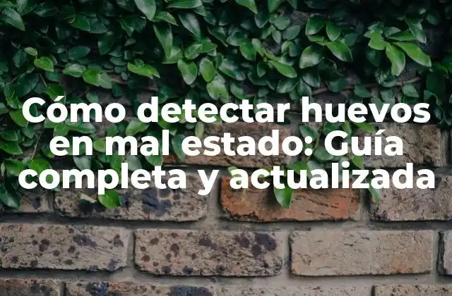 Cómo Detectar Huevos en Mal Estado: Guía Completa y Actualizada