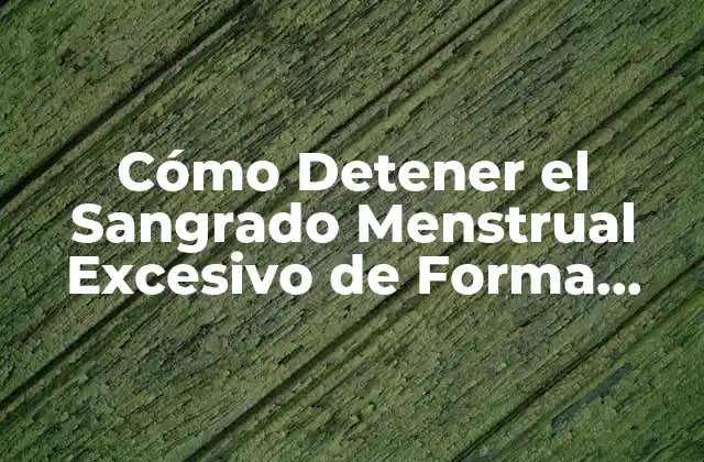 Cómo Detener el Sangrado Menstrual Excesivo de Forma Natural y Segura