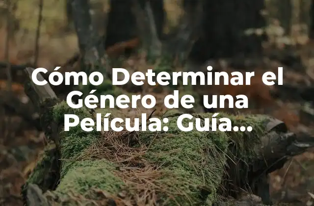 ¿Qué es el Género de una Película?