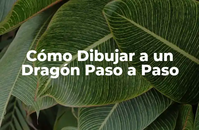 Cómo Dibujar a un Dragón Paso a Paso