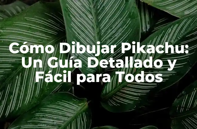 Los Materiales Necesarios para Dibujar Pikachu