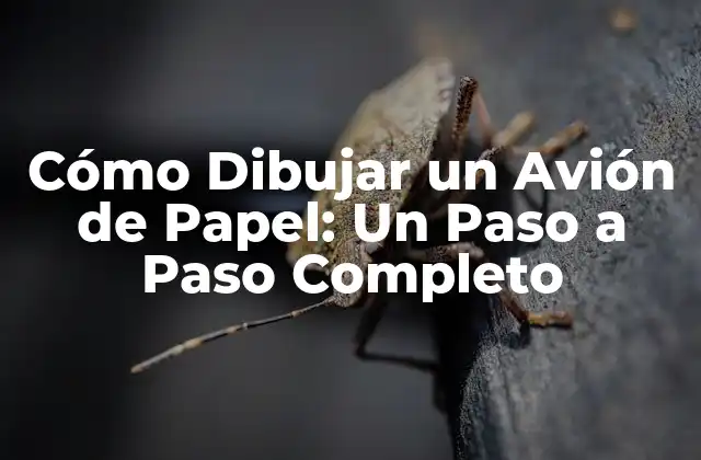 Cómo Dibujar un Avión de Papel: un Paso a Paso Completo 2 Historia del Avión de Papel