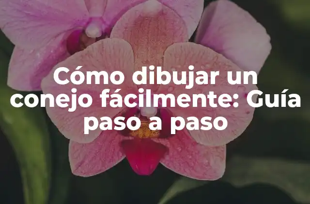 Cómo Dibujar un Conejo Fácilmente: Guía Paso a Paso