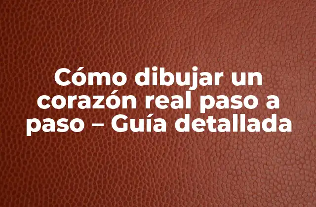 Cómo Dibujar un Corazón Real Paso a Paso - Guía Detallada 2 Anatomía del corazón - Entendiendo la estructura básica