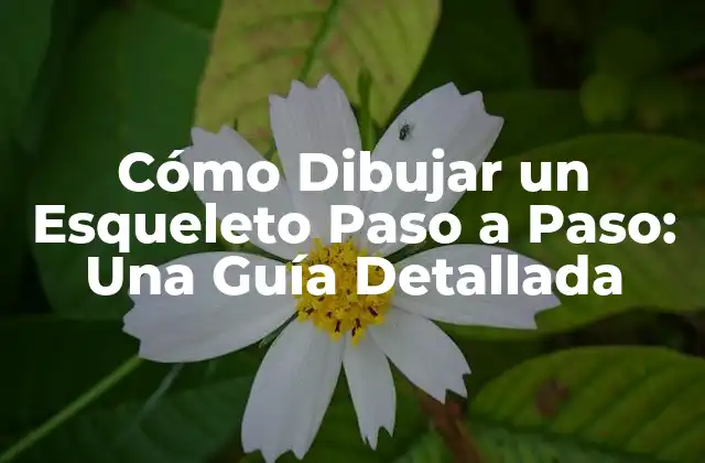Cómo Dibujar un Esqueleto Paso a Paso: una Guía Detallada