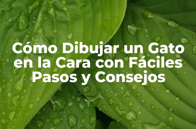 Cómo Dibujar un Gato en la Cara con Fáciles Pasos y Consejos