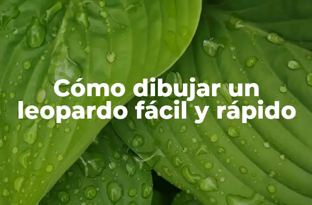 Cómo Dibujar un Leopardo Fácil y Rápido