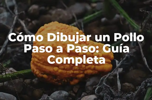 Herramientas y Materiales Necesarios para Dibujar un Pollo