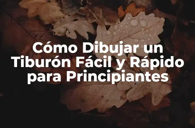 Cómo Dibujar un Tiburón Fácil y Rápido para Principiantes 2 Materiales Necesarios para Dibujar un Tiburón Fácil
