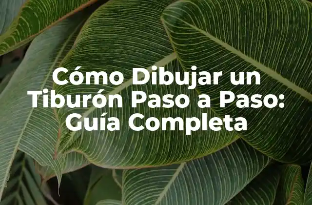 Cómo Dibujar un Tiburón Paso a Paso: Guía Completa 2 Materiales Necesarios para Dibujar un Tiburón