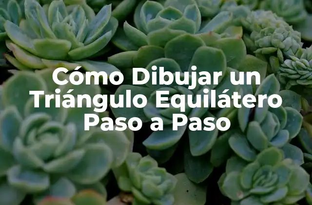 Cómo Dibujar un Triángulo Equilátero Paso a Paso