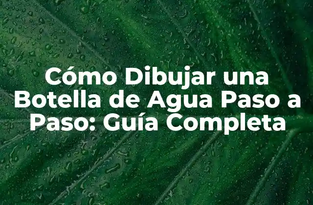 Cómo Dibujar una Botella de Agua Paso a Paso: Guía Completa
