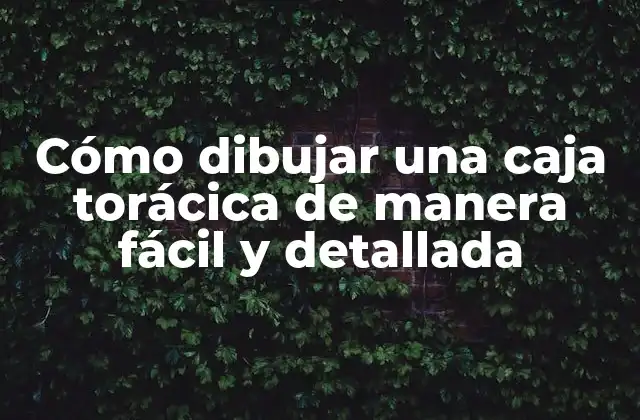 Cómo Dibujar una Caja Torácica de Manera Fácil y Detallada
