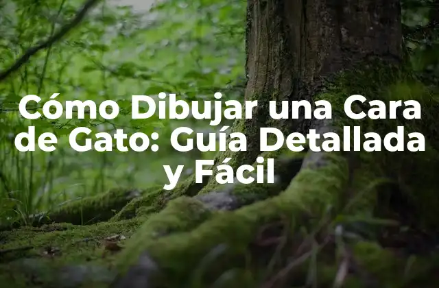 Cómo Dibujar una Cara de Gato: Guía Detallada y Fácil