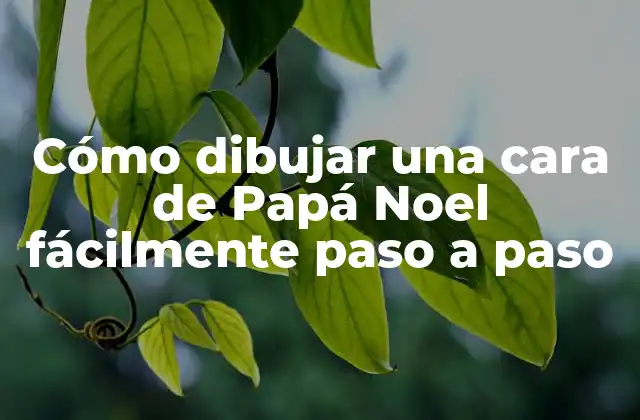 Cómo Dibujar una Cara de Papá Noel Fácilmente Paso a Paso 2 Materiales necesarios para dibujar una cara de Papá Noel