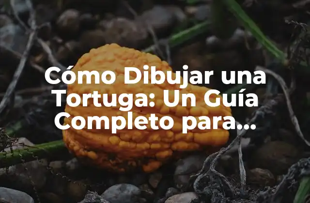 Cómo Dibujar una Tortuga: un Guía Completo para Principiantes y Expertos