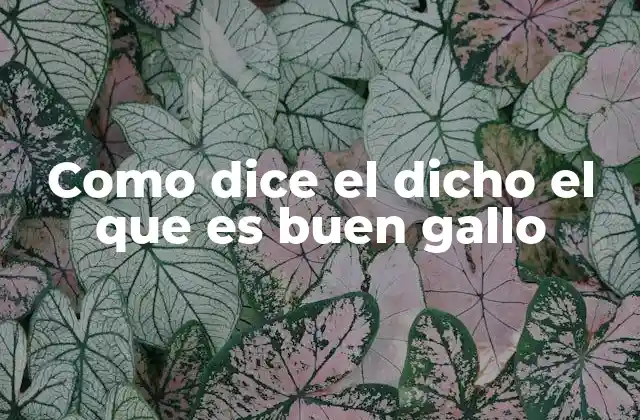 El dicho como reflejo de la observación humana