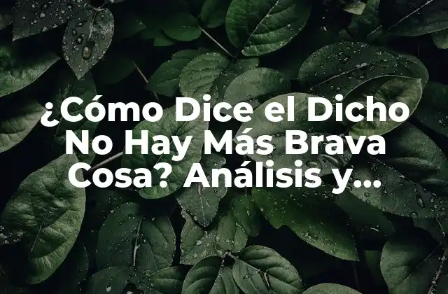 ¿cómo Dice el Dicho No Hay Más Brava Cosa? Análisis y Significado
