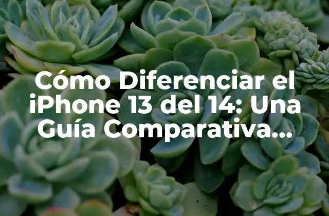Diseño y Construcción: ¿Cuál es la Diferencia entre el iPhone 13 y el 14?