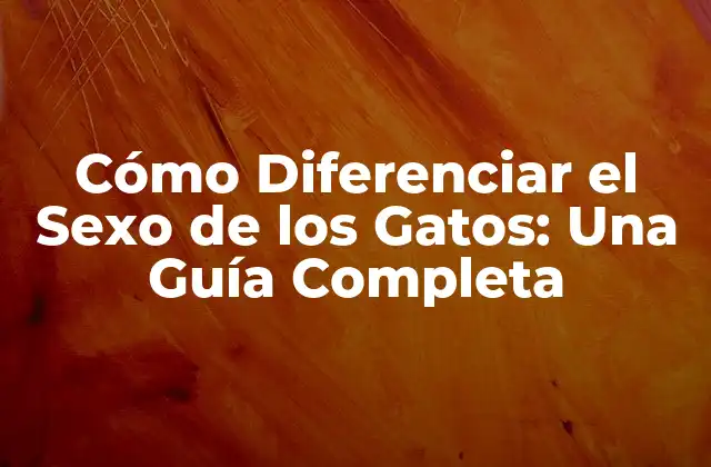 Cómo Diferenciar el Sexo de los Gatos: una Guía Completa