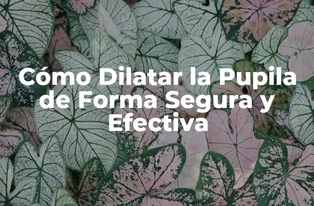 Cómo Dilatar la Pupila de Forma Segura y Efectiva