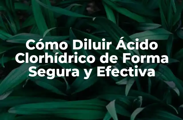 Cómo Diluir Ácido Clorhídrico de Forma Segura y Efectiva