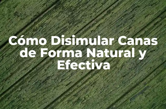 Cómo Disimular Canas de Forma Natural y Efectiva