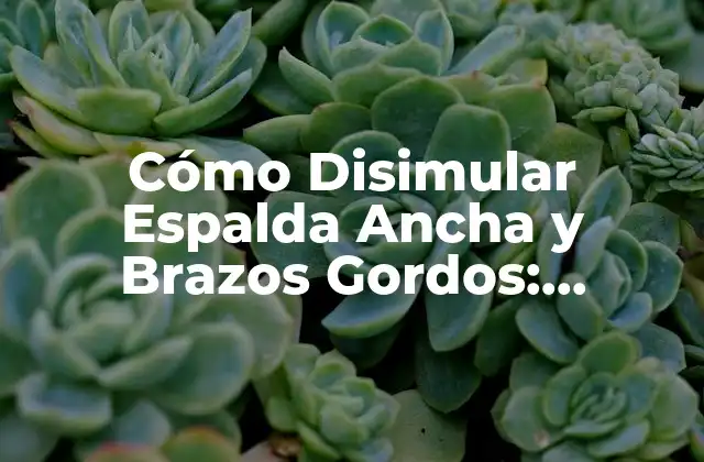 Cómo Disimular Espalda Ancha y Brazos Gordos: Consejos y Trucos para una Silueta Más Estilosa