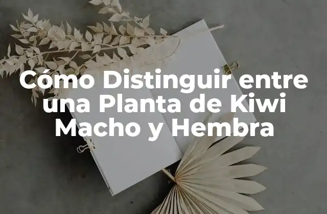 Cómo Distinguir entre una Planta de Kiwi Macho y Hembra