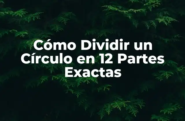 Cómo Dividir un Círculo en 12 Partes Exactas