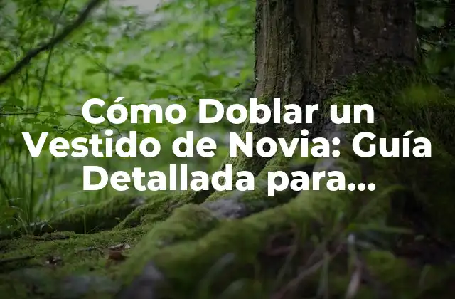 Cómo Doblar un Vestido de Novia: Guía Detallada para Preservar Tu Atuendo de Ensueño