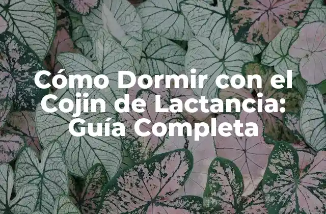 Beneficios del Cojin de Lactancia para la Lactancia Materna