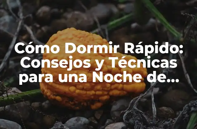 Cómo Dormir Rápido: Consejos y Técnicas para una Noche de Sueño Reparadora 2 ¿Cuál es la Duración Ideal del Sueño?