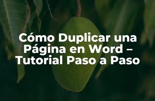 Cómo Duplicar una Página en Word – Tutorial Paso a Paso