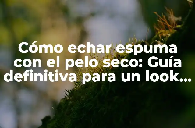 Cómo Echar Espuma con el Pelo Seco: Guía Definitiva para un Look Perfecto