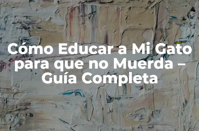 Cómo Educar a Mi Gato para que No Muerda - Guía Completa 2 ¿Por qué los Gatos Muerden?