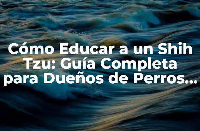 ¿Cuál es la Edad Ideal para Empezar a Educar a un Shih Tzu?
