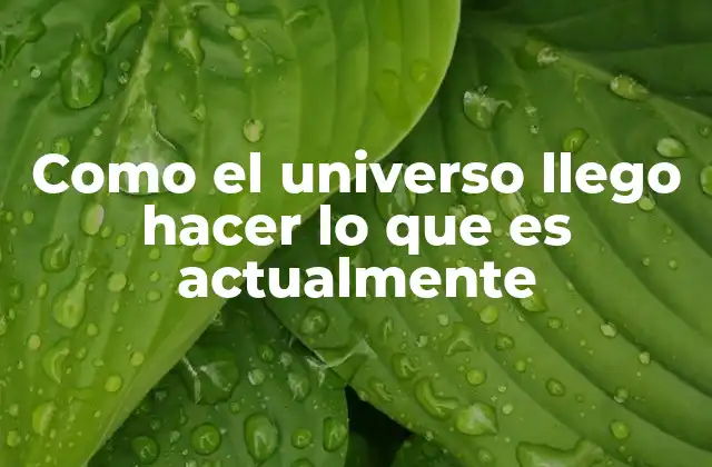 Como el Universo Llego Hacer Lo que es Actualmente