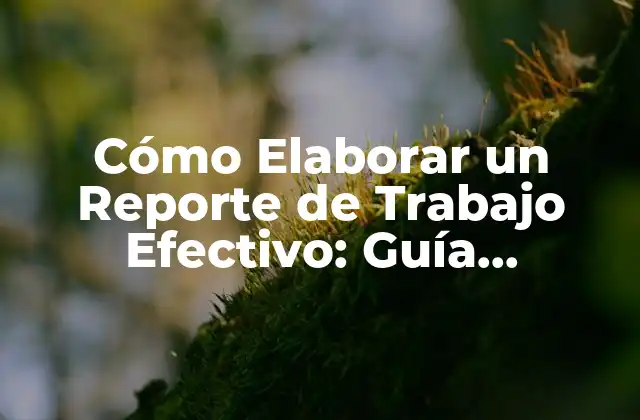 Cómo Elaborar un Reporte de Trabajo Efectivo: Guía Completa