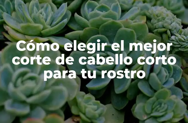Análisis del rostro: Cómo determinar tu forma de rostro