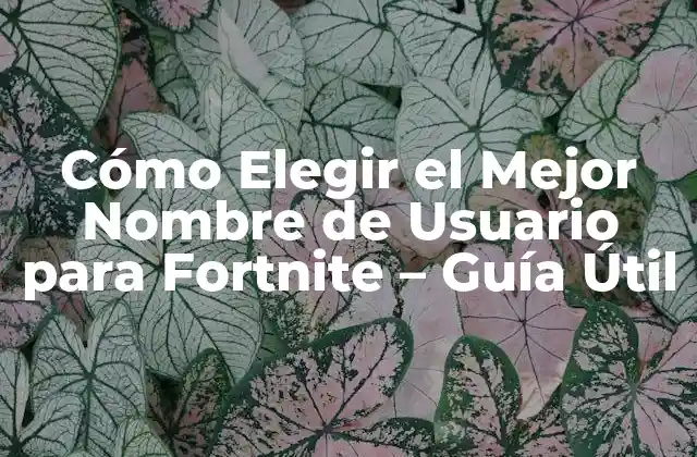 Cómo Elegir el Mejor Nombre de Usuario para Fortnite – Guía Útil