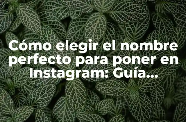 ¿Por qué es importante elegir un buen nombre para Instagram?