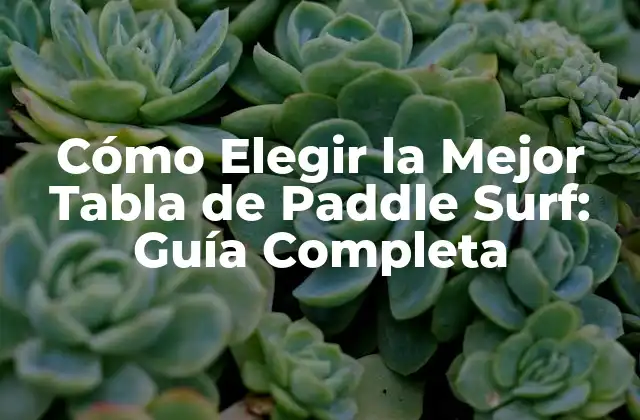 Cómo Elegir la Mejor Tabla de Paddle Surf: Guía Completa